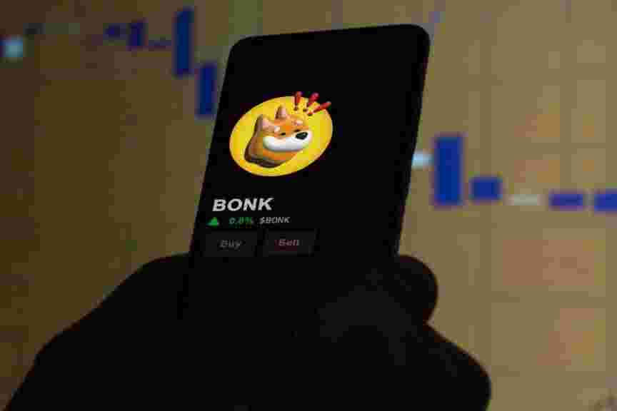 Why BONK on Solana Surpasses Dogecoin, Despite Caution Against Impulse Buying