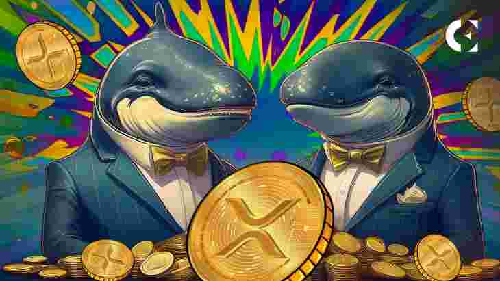 Crypto Gamers See Ripple Rise as Whales Game XRP Amid Lawsuit News