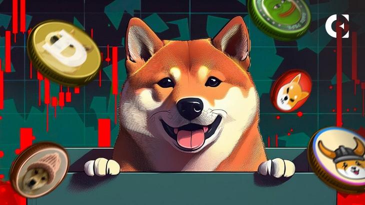 The Rise and Fall of Memecoins: Dogecoin, Shiba Inu & Pepe's Surprising Journey