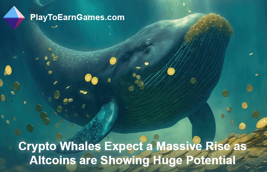 Las ballenas criptográficas esperan un aumento en las altcoins